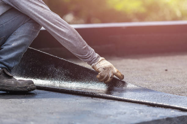 Professional Interior Drainage System technician working in Landing, NJ